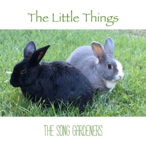 The Little Things - The Song Gardeners, written by Corrie M. Dunn